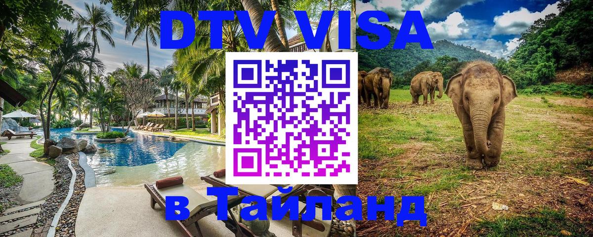 Сколько стоит DTV виза — актуальные цены, оформление даже без документов - Саратов  09.01.2026 